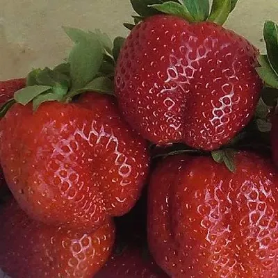 Клубника ДЕСТЕНИ в Симферополе